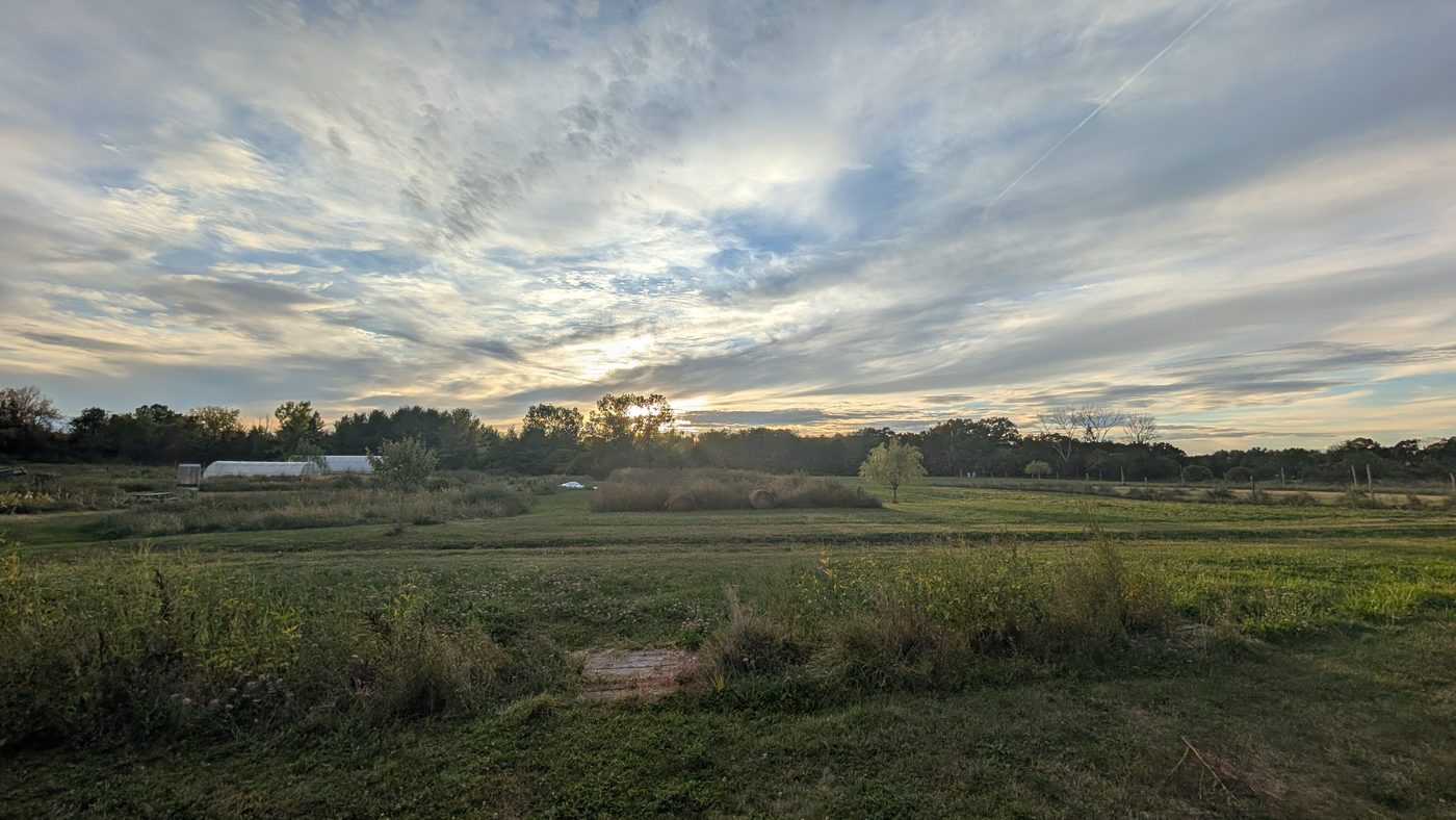 Dusk settling over the back field under a broken sky.