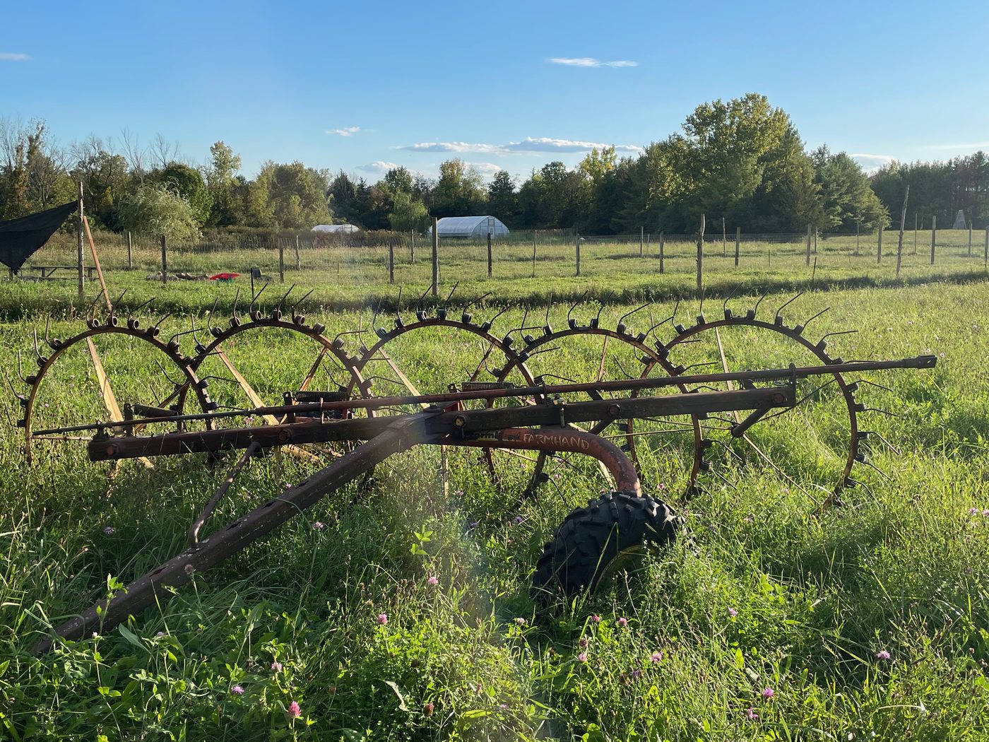 An antique hay rake sitting out in the field with the hoop houses beyond.